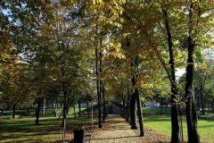 Park pałacowy